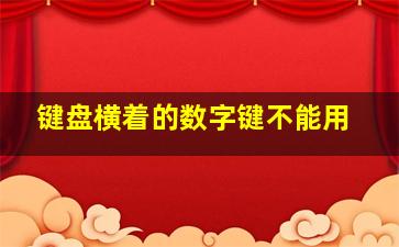 键盘横着的数字键不能用