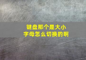 键盘那个是大小字母怎么切换的啊