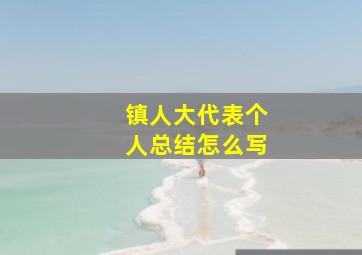 镇人大代表个人总结怎么写