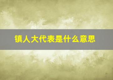 镇人大代表是什么意思