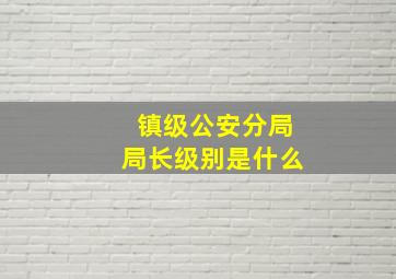 镇级公安分局局长级别是什么