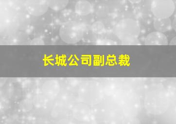 长城公司副总裁