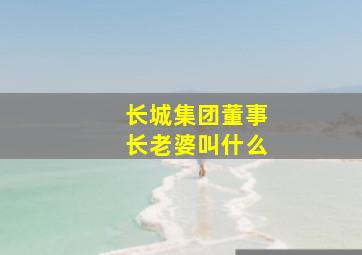 长城集团董事长老婆叫什么