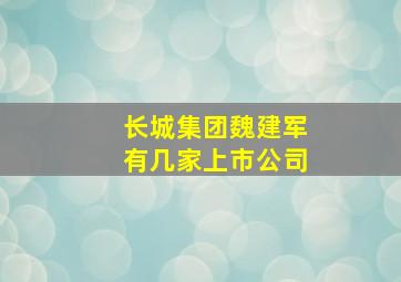 长城集团魏建军有几家上市公司