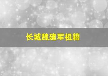 长城魏建军祖籍