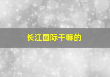 长江国际干嘛的