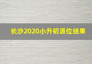 长沙2020小升初派位结果