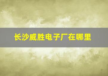 长沙威胜电子厂在哪里