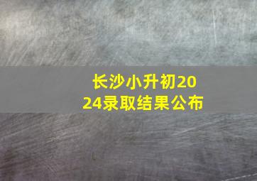 长沙小升初2024录取结果公布