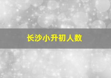 长沙小升初人数