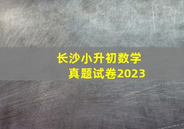 长沙小升初数学真题试卷2023