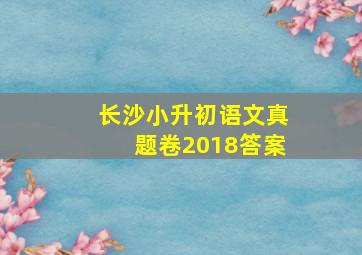 长沙小升初语文真题卷2018答案