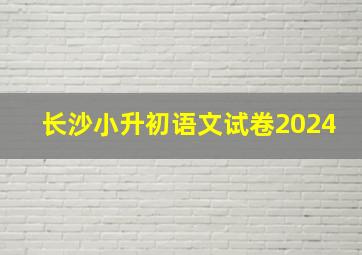 长沙小升初语文试卷2024