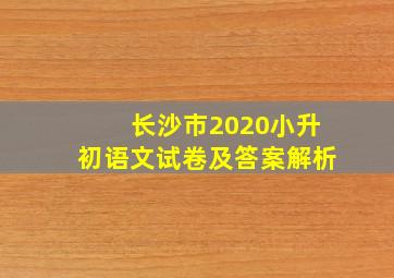 长沙市2020小升初语文试卷及答案解析