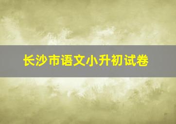 长沙市语文小升初试卷