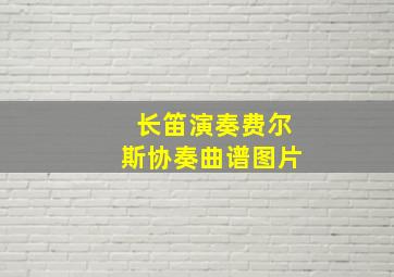 长笛演奏费尔斯协奏曲谱图片