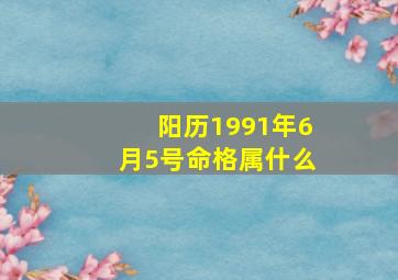 阳历1991年6月5号命格属什么