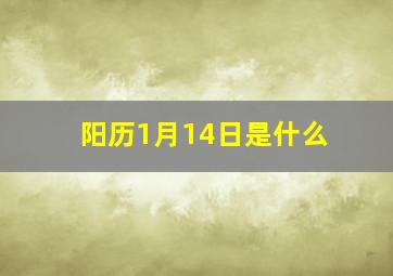 阳历1月14日是什么