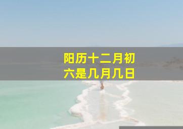 阳历十二月初六是几月几日