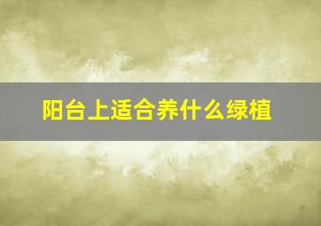 阳台上适合养什么绿植