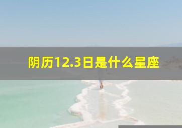 阴历12.3日是什么星座