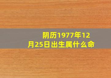 阴历1977年12月25日出生属什么命