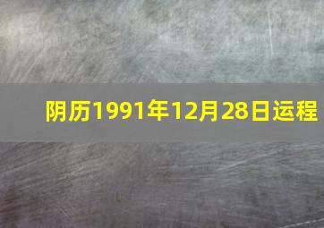 阴历1991年12月28日运程