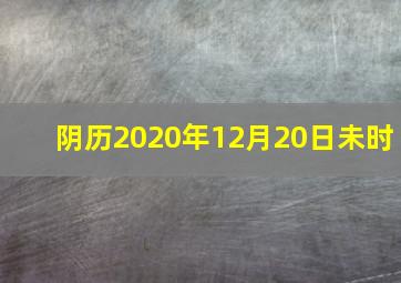 阴历2020年12月20日未时