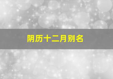 阴历十二月别名