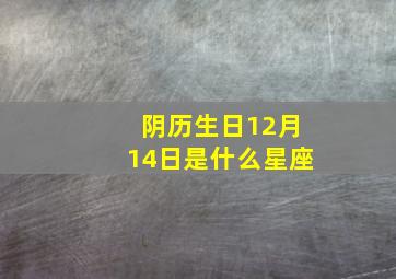 阴历生日12月14日是什么星座