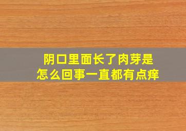 阴口里面长了肉芽是怎么回事一直都有点痒