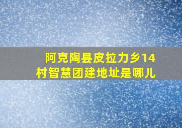 阿克陶县皮拉力乡14村智慧团建地址是哪儿