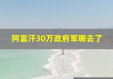 阿富汗30万政府军哪去了