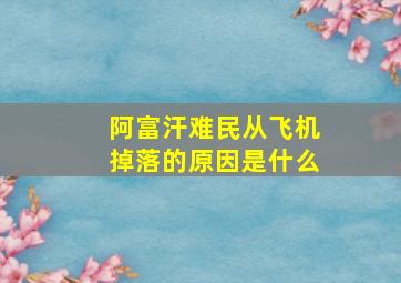 阿富汗难民从飞机掉落的原因是什么