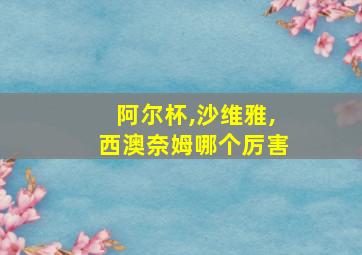 阿尔杯,沙维雅,西澳奈姆哪个厉害