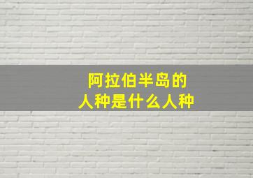 阿拉伯半岛的人种是什么人种