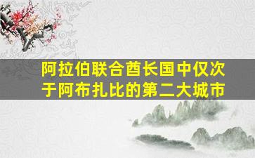 阿拉伯联合酋长国中仅次于阿布扎比的第二大城市