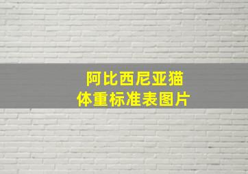 阿比西尼亚猫体重标准表图片