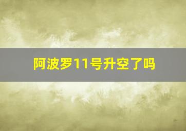 阿波罗11号升空了吗