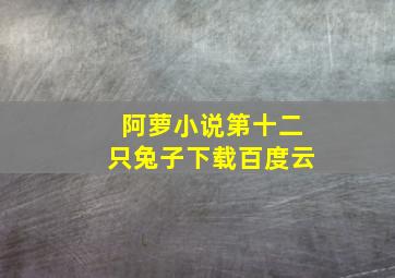 阿萝小说第十二只兔子下载百度云