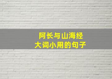 阿长与山海经大词小用的句子