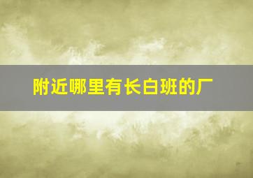 附近哪里有长白班的厂