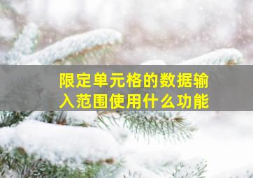 限定单元格的数据输入范围使用什么功能