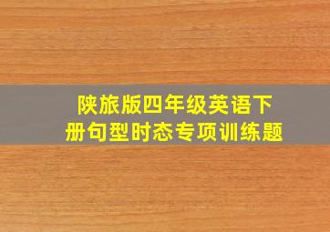 陕旅版四年级英语下册句型时态专项训练题