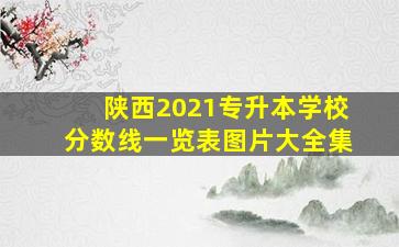 陕西2021专升本学校分数线一览表图片大全集