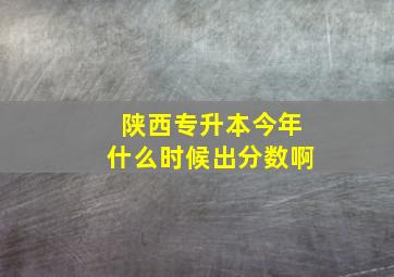 陕西专升本今年什么时候出分数啊