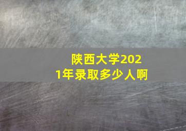 陕西大学2021年录取多少人啊