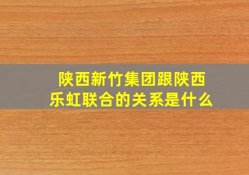 陕西新竹集团跟陕西乐虹联合的关系是什么