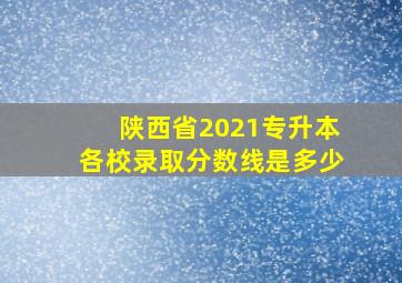 陕西省2021专升本各校录取分数线是多少