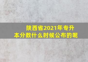 陕西省2021年专升本分数什么时候公布的呢